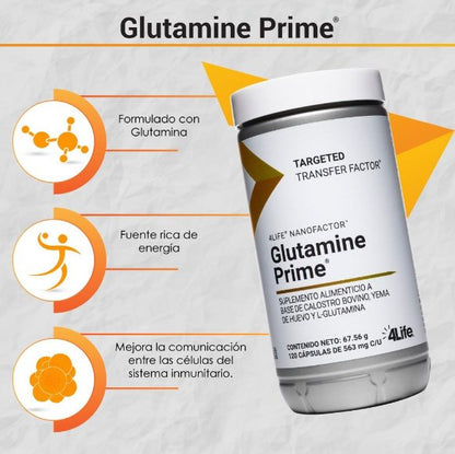 4life Nano Factor Glutamine Prime - Transfer Factor Store